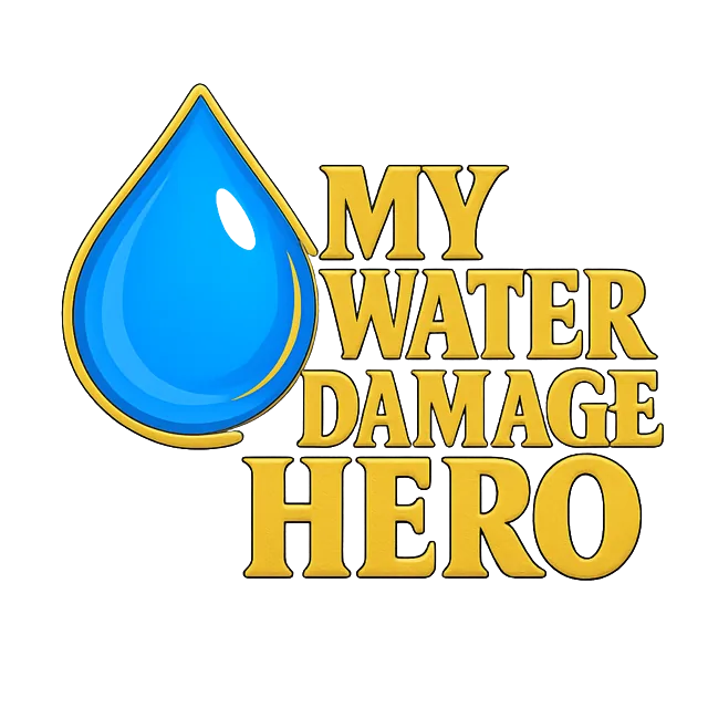 My Water Damage Hero logo